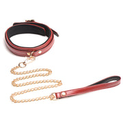 Master Series 6 Piece Burgundy Bondage Set